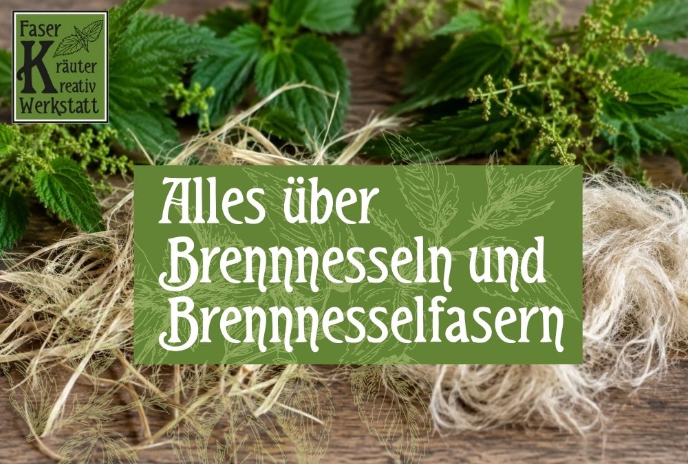 Alles über Brennnesseln und Brennnesselfasern